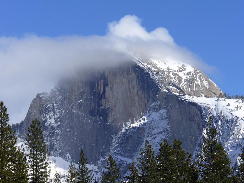 Yosemite Sierra View Bed & Breakfast Oakhurst Kültér fotó